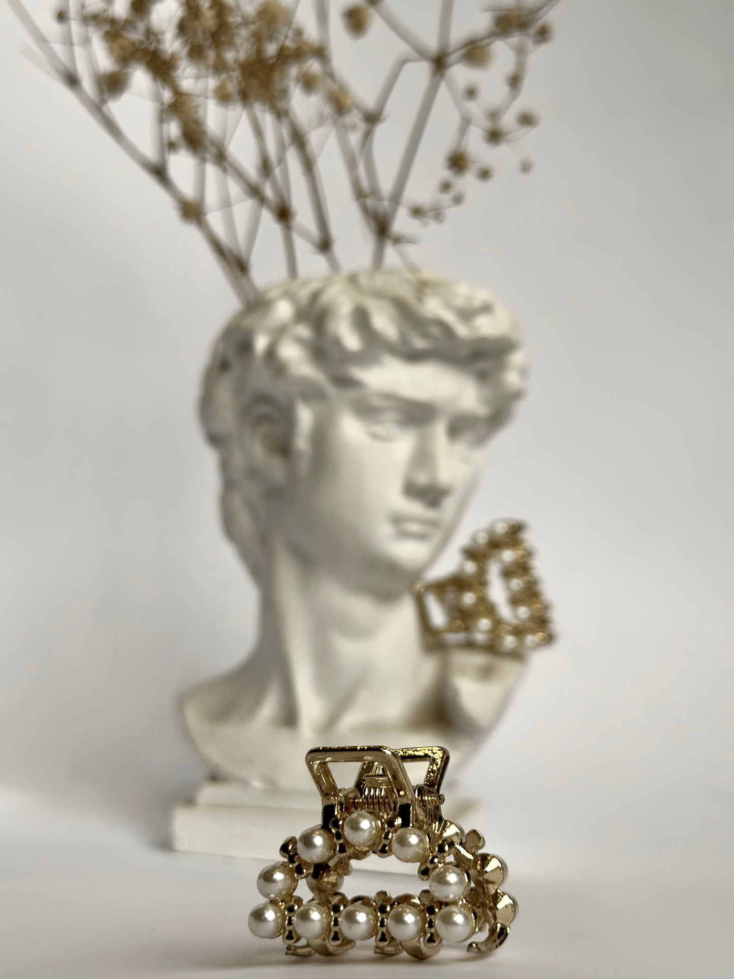 Embellished Hair Clips